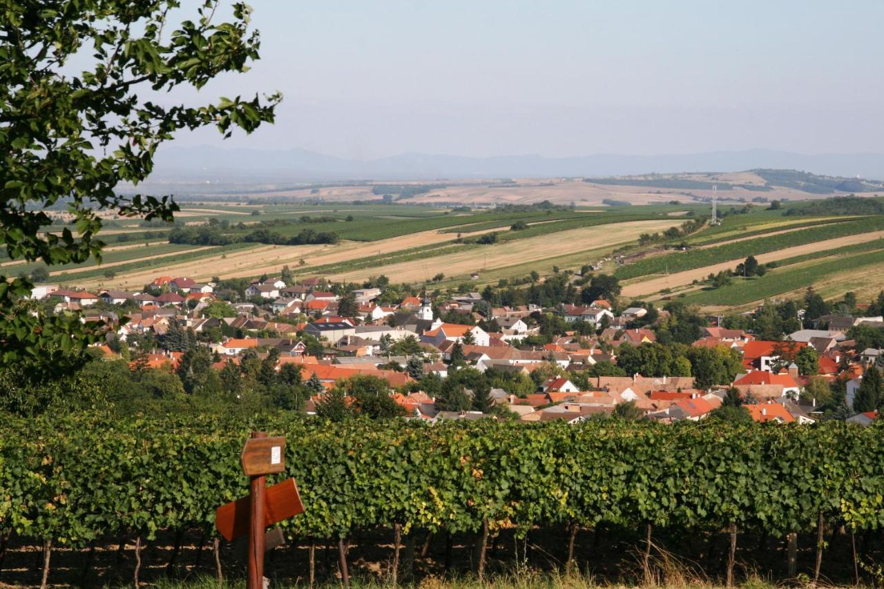 Weingut Zur Schlafmuetze Hotel Herrnbaumgarten Екстериор снимка