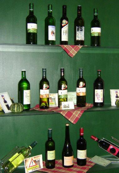 Weingut Zur Schlafmuetze Hotel Herrnbaumgarten Екстериор снимка
