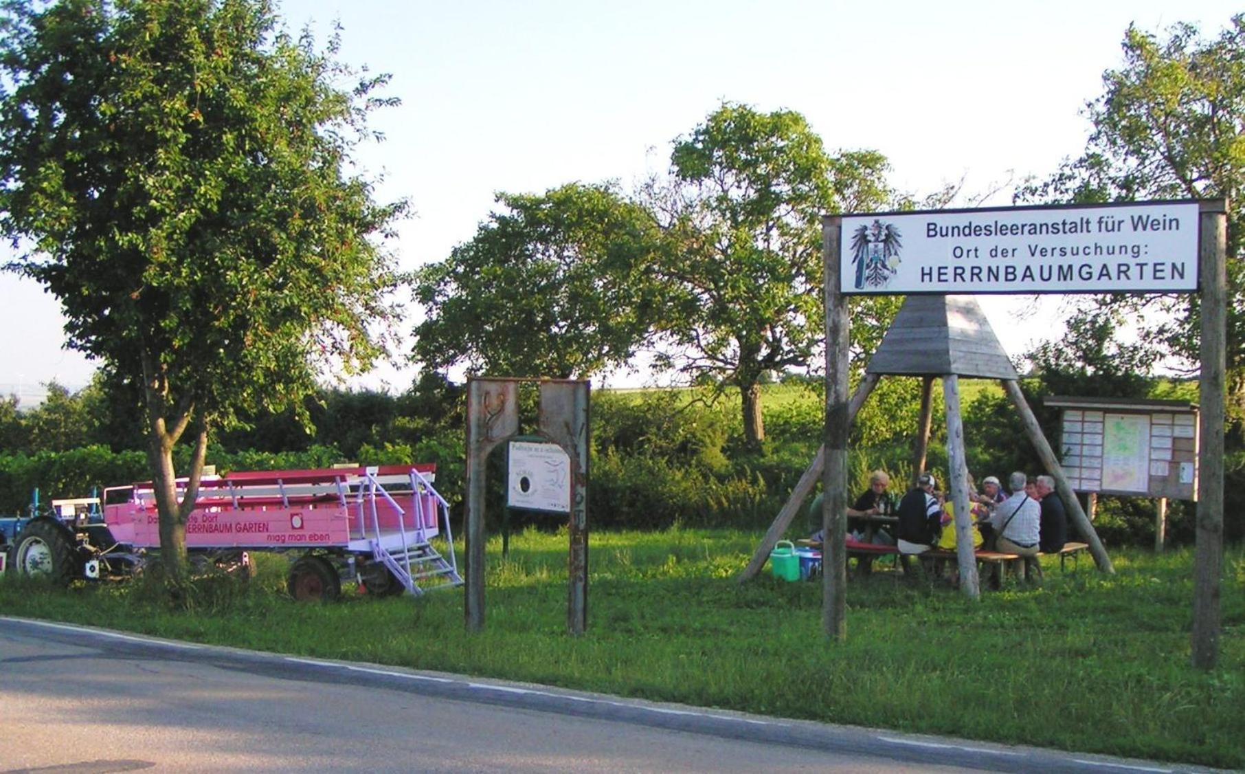 Weingut Zur Schlafmuetze Hotel Herrnbaumgarten Екстериор снимка